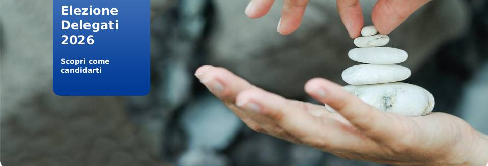 Elezioni 2026